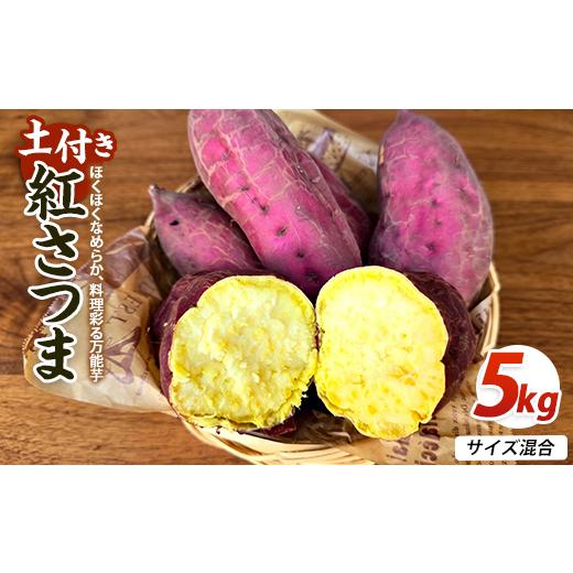 ふるさと納税 野菜類 サツマイモ 鹿児島県 指宿市 2026年10月上旬〜順次発送 訳あり 鹿児島県産さつまいも 紅さつま 約5kg (アグリファースト/IB162-003) 鹿…