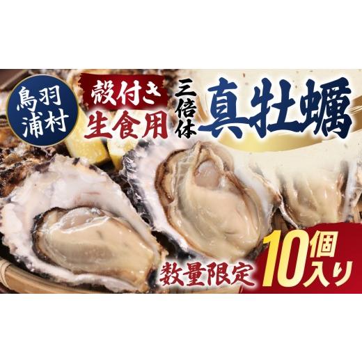 ふるさと納税 牡蠣 生牡蠣 三重県 鳥羽市 期間限定 10月15日まで受付 15-34 濃厚な甘みとコク 生食用 三倍体牡蠣 10個入り 生牡蠣 冷蔵 浦村牡蠣