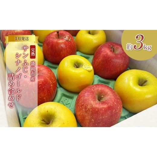 ふるさと納税 りんご 岩手県 盛岡市 先行予約 1月発送 完熟サンふじ ジョナゴールド 詰め合わせ 約3kg (8〜12玉) セット 完熟りんご 林檎 リンゴ 果物 フル…