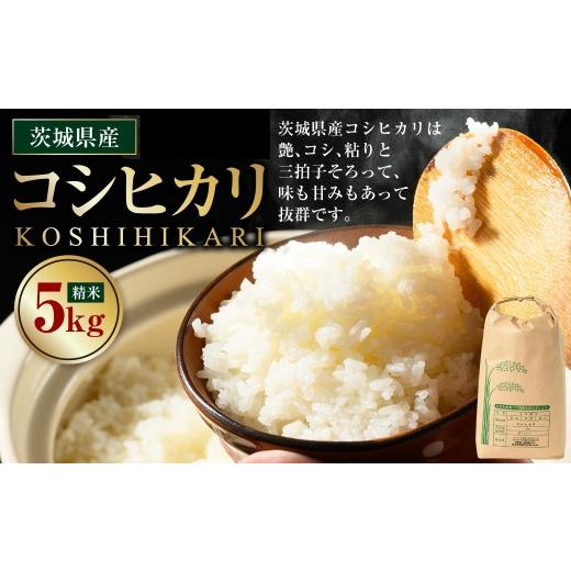 ふるさと納税 米 コシヒカリ 茨城県 守谷市 先行予約 令和8年産 茨城県産コシヒカリ 5kg 2026年10月〜発送 | 米 お米 おこめ コメ 白米 精米 ご飯 ごはん コ…
