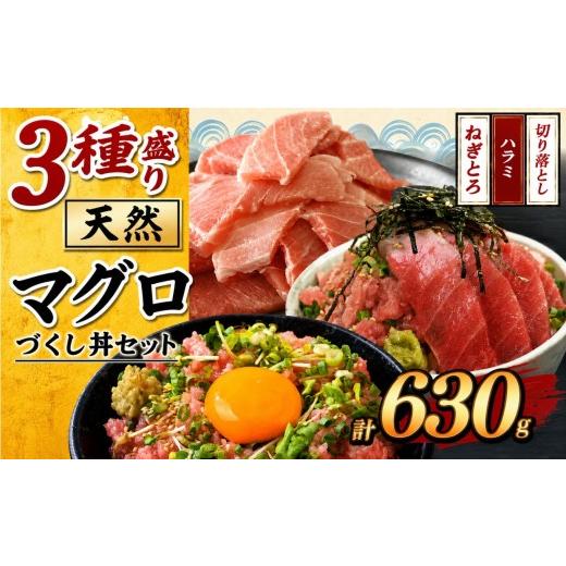 ふるさと納税 マグロ 千葉県 君津市 マグロ づくし丼 3種盛り セット 合計630g | 清幸丸水産 ネギトロ ハラミ 切り落とし 鮪 千葉県 君津市 1回 3種盛り|1000…