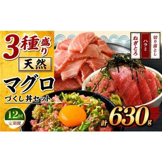 ふるさと納税 マグロ 千葉県 君津市 定期便12回 マグロ づくし丼 3種盛り セット 合計630g | 清幸丸水産 ネギトロ ハラミ 切り落とし 鮪 千葉県 君津市 定期…