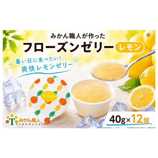 ふるさと納税 菓子 ゼリー 愛媛県 愛南町 みかん職人が作った フローズン ゼリー 40g×1種 計12個 レモン 人気 デザート スイーツ シャーベット 柑橘 みかん…