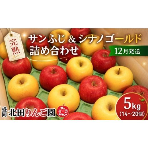 ふるさと納税 りんご 岩手県 盛岡市 先行予約 12月発送 完熟サンふじ シナノゴールド りんご 5kg (14〜20玉) 詰め合わせ セット 食べ比べ 贈答用 贈答 贈り…