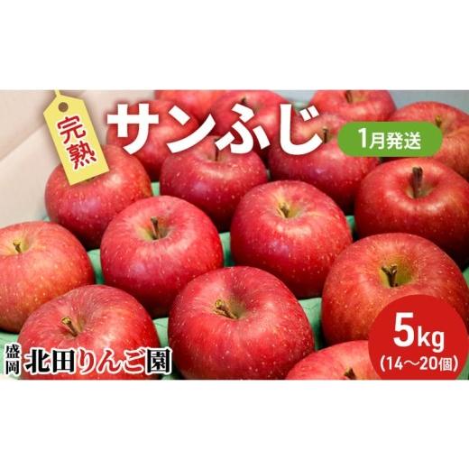 ふるさと納税 りんご 岩手県 盛岡市 先行予約 1月発送 完熟サンふじ りんご 5kg 14〜20玉 デザート 果汁 甘い 酸味 バランス 果物類 フルーツ 林檎 リンゴ 国…