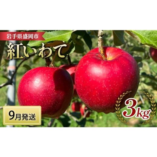 ふるさと納税 りんご 岩手県 盛岡市 先行予約 紅いわて 3kg (8〜12玉) 9月発送 完熟 フルーツ 果物 夏 秋 旬 旬のフルーツ 季節のフルーツ 林檎 リンゴ 国…