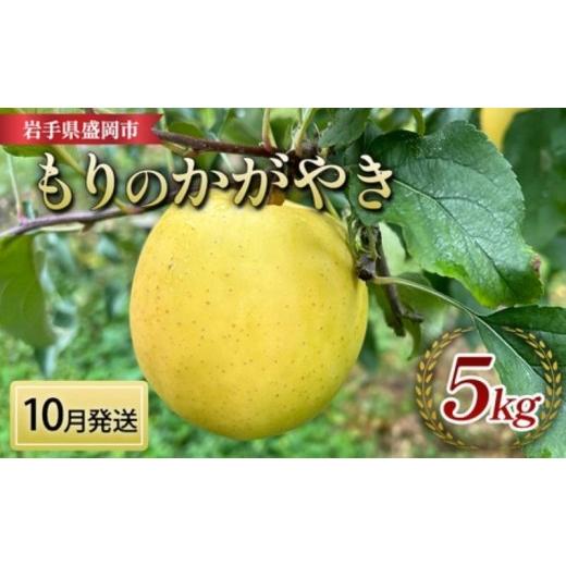 ふるさと納税 りんご 岩手県 盛岡市 先行予約 10月中旬発送 もりのかがやき りんご 5kg 14〜20玉 完熟 フルーツ 果物 旬 旬のフルーツ 季節のフルーツ 林檎 …