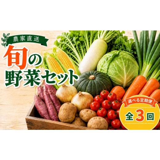 ふるさと納税 野菜類 千葉県 銚子市 野菜 定期便 野菜セット サブスク 旬 詰め合わせ やさい 全3回 毎月 先行予約 定期 野菜詰め合わせ おまかせ セット てい…
