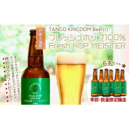 ふるさと納税 ビール 地ビール 京都府 京丹後市 クラフトビール TK100-Fresh HOP MEISTER [Green](瓶) 京丹後産ホップ使用 6本セット セット ビール 飲…