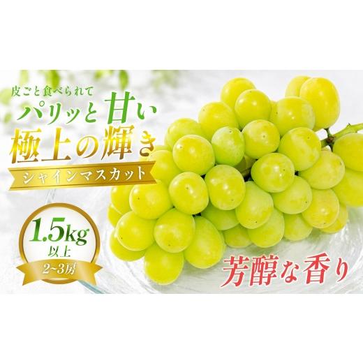 ふるさと納税 ぶどう マスカット 高知県 大月町 シャインマスカット 約1.5kg 2~3房 朝採れ 農園直送 種なし 皮ごと食べられる ぶどう ブドウ 葡萄 フルーツ 果…