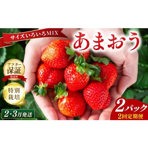 ふるさと納税 いちご 福岡県 篠栗町 いちご 福岡県産 特別栽培 あまおう サイズいろいろMIX 約570g(約285g×2パック) 2回定期便(2〜3月発送) | 農園直送 …
