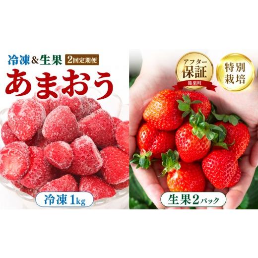 ふるさと納税 いちご 福岡県 篠栗町 冷凍&生果の定期便 福岡県産 特別栽培 あまおう 冷凍あまおう1kg 生果サイズいろいろMIX 約285g×2パック | 農園直送 …