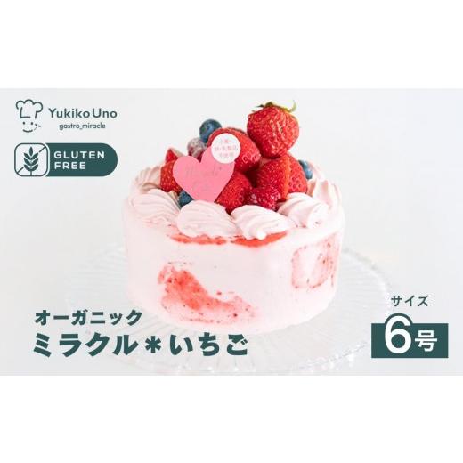 ふるさと納税 ケーキ・カステラ 京都府 京都市 むしやしない オーガニックミラクル*いちご 6号|京都 アレルギー対応ケーキ 人気シリーズ[ 卵・乳・小麦不…