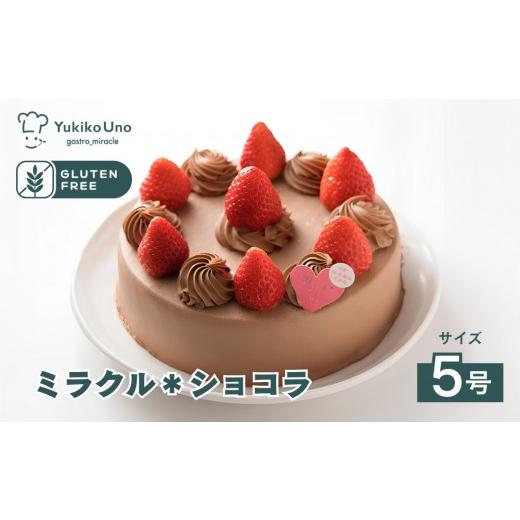 ふるさと納税 ケーキ・カステラ チョコレートケーキ 京都府 京都市 むしやしない ミラクル*ショコラ 5号|京都 アレルギー対応ケーキ 人気シリーズ[ 卵・乳…