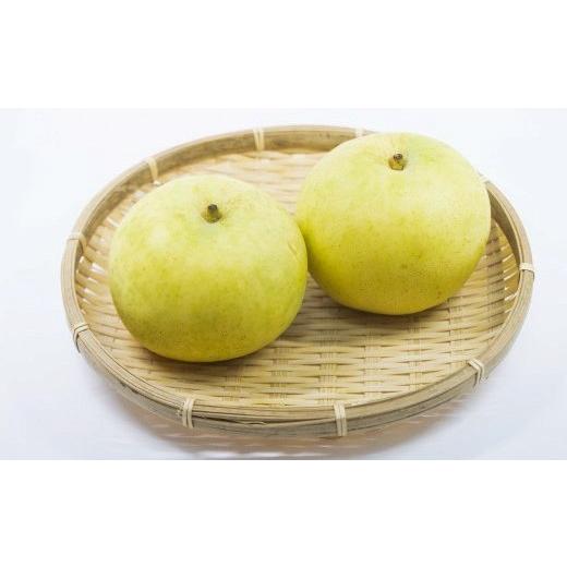 ふるさと納税 梨 鳥取県 八頭町 なつひめ(秀)3kg 7〜10玉 あきやま園 8月下旬から順次発送 もぎたて 旬 フルーツ 果物 青梨 梨