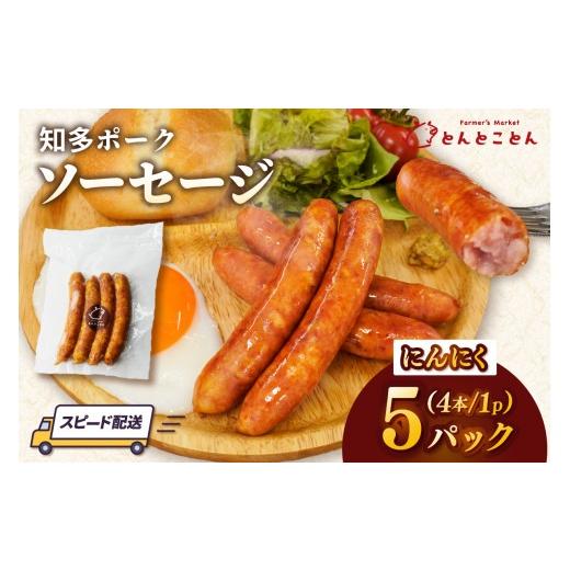 ふるさと納税 肉 ソーセージ 愛知県 常滑市 知多ポーク にんにくソーセージ 1パック4本入り×5パック|ソーセージ ウインナー にんにく 豚肉 ブランド豚 自…