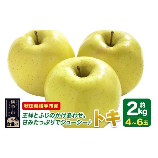 ふるさと納税 りんご 秋田県 横手市 先行受付 9月下旬より発送 りんご トキ 約2kg(4〜6玉) 先行予約 トキ りんご アップル おいしい 果実 果物 黄色 美味 …