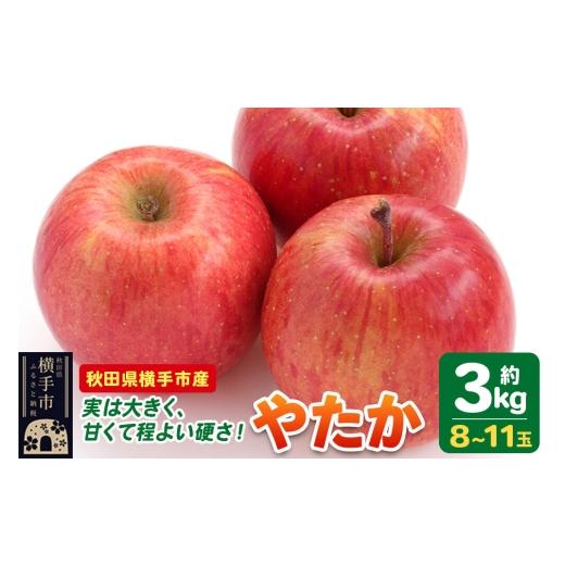 ふるさと納税 りんご 秋田県 横手市 先行受付 9月下旬より発送 りんご やたか 約3kg(8〜11玉) 先行予約 りんご やたか 林檎 アップル 赤 果実 果物 フルー…