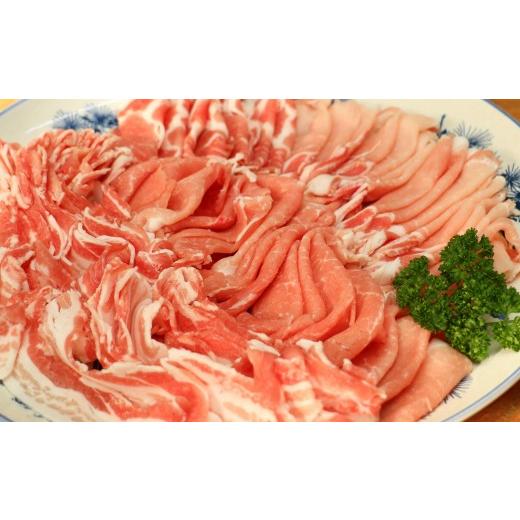 ふるさと納税 豚肉 ロース 鹿児島県 錦江町 No.2033-3 かごしま黒豚(ロース・バラ肉・切り落とし) 鉄板焼き・生姜焼き・炒め物