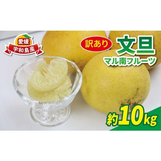 ふるさと納税 みかん・柑橘類 愛媛県 宇和島市 訳あり 文旦 10kg マル南フルーツ 不揃い 訳アリ 訳あり品 訳有り わけあり 数量限定 ぶんたん ブンタン 土佐文…