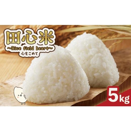 ふるさと納税 米 鹿児島県 大崎町 大崎町産「なつほのか」田心米 5kg 〜Rice field heart 心をこめて〜
