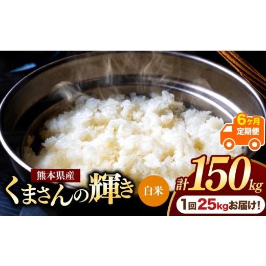 ふるさと納税 米 熊本県 玉名市 定期便6回 熊本県産 白米 くまさんの輝き 25kg | お米 米 こめ おこめ 精米 白米 25キロ フードロス 国産 国産米 くまもと 熊…