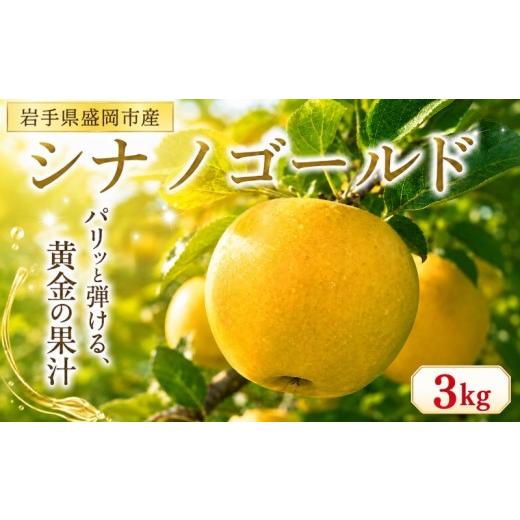 ふるさと納税 りんご 岩手県 盛岡市 先行予約 11月発送開始 シナノゴールド 3kg 完熟 フルーツ 果物 旬 旬のフルーツ 季節のフルーツ りんご 林檎 リンゴ 国…