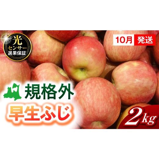 ふるさと納税 りんご 青森県 五所川原市 2026年10月発送 規格外 りんご 約2kg 早生ふじ [ 光センサー選果保証 ] 青森県産 訳あり リンゴ 林檎 果物 青森 五…
