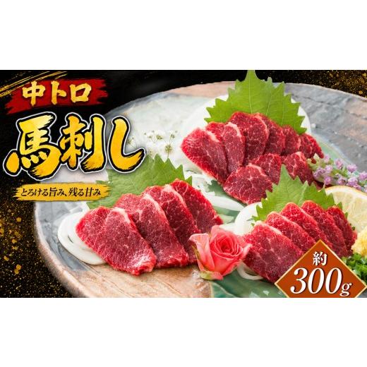 ふるさと納税 馬肉 熊本県 和水町 馬刺し 中トロ 300g | 熊本県 熊本 くまもと 和水町 なごみまち なごみ 馬肉 馬刺し うま 馬 中トロ 冷凍