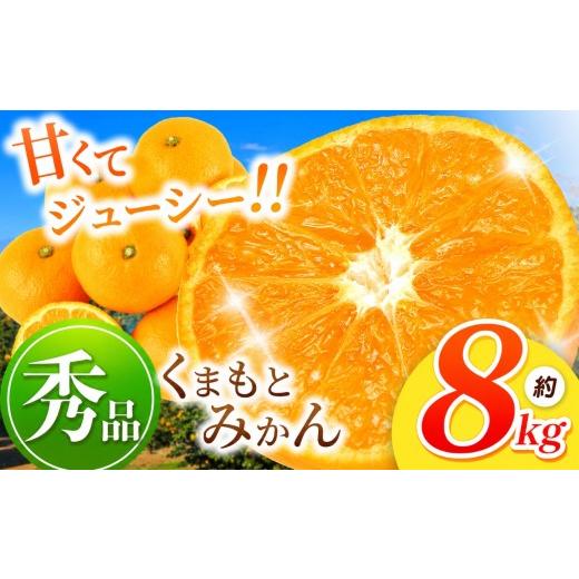 ふるさと納税 果物類 みかん 熊本県 玉名市 秀品 熊本県産 温州 みかん 約 8kg | フルーツ 果物 柑橘 名産地 みかん 玉名市 天水みかん ミカン 秀品 8kg | 寄…