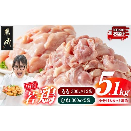 ふるさと納税 鶏肉 モモ 宮崎県 都城市 国産若鶏5.1kgセット 小分けパック カット済み (もも300g×12P・むね300g×5P) みやこんじょ特急便 _18-33-007-M5100g-…