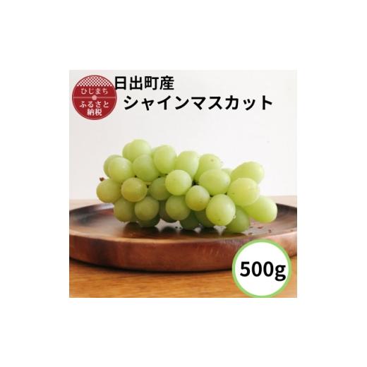 ふるさと納税 ぶどう 大分県 日出町 日出町産 シャインマスカット(約500g) 1758854