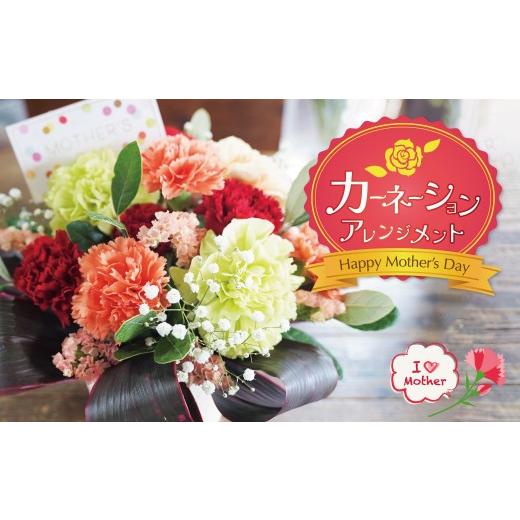 ふるさと納税 雑貨・日用品 花 愛知県 碧南市 [予約受付] 2027年 母の日 カーネーション アレンジメント 花瓶不要なので贈りやすい ギフト 生花 プレゼント…