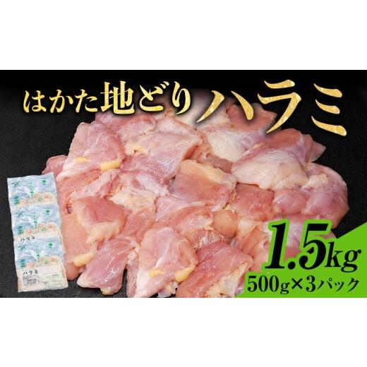 ふるさと納税 鶏肉 福岡県 田川市 はかた地どり ハラミ 1.5kg 500g×3パック 小分け 福岡県産 地鶏 鶏肉 冷凍 国産 はらみ とり肉 希少部位 チキン 炒め物 鉄…