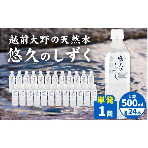ふるさと納税 水・ミネラルウォーター 500mL〜999mL 福井県 大野市 1回分配送 越前大野の天然水 悠久のしずく PET500ml × 24本 | 定期便 飲料類 水 ミネラ…