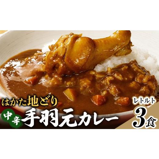 ふるさと納税 加工品等 レトルト 福岡県 田川市 はかた地どり 手羽元カレー 中辛 3食 レトルトカレー チキンカレー 福岡県産 地鶏 お取り寄せ グルメ ギフト …