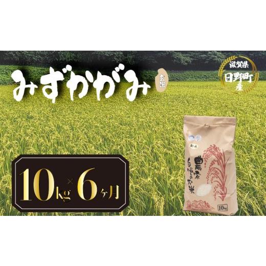 ふるさと納税 玄米 滋賀県 日野町 令和8年産 米 10kg 定期便 6ヶ月 みずかがみ 米 玄米 国産 滋賀県 日野町 農家直送 お米 おこめ こめ 産地直送 ふるさと納…