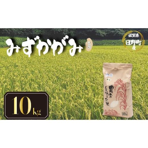 ふるさと納税 玄米 滋賀県 日野町 令和8年産 米 10kg みずかがみ 米 玄米 国産 滋賀県 日野町 農家直送 お米 おこめ こめ 産地直送 ふるさと納税 みずかがみ …