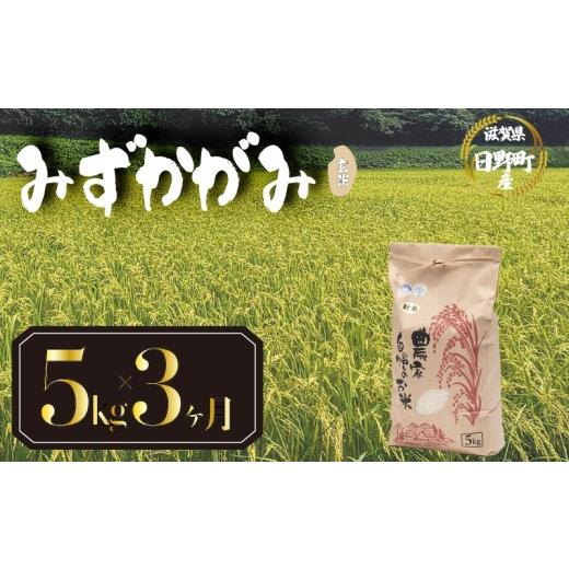 ふるさと納税 玄米 滋賀県 日野町 令和8年産 米 5kg 定期便 3ヶ月 みずかがみ 米 玄米 国産 滋賀県 日野町 農家直送 お米 おこめ こめ 産地直送 ふるさと納税…