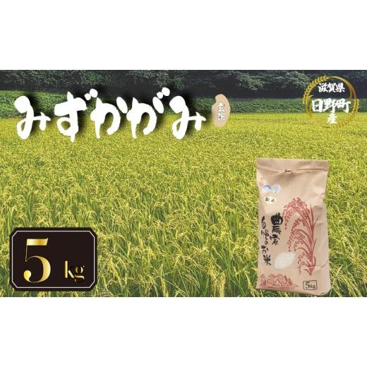 ふるさと納税 玄米 滋賀県 日野町 令和8年産 米 5kg みずかがみ 米 玄米 国産 滋賀県 日野町 農家直送 お米 おこめ こめ 産地直送 ふるさと納税 みずかがみ …