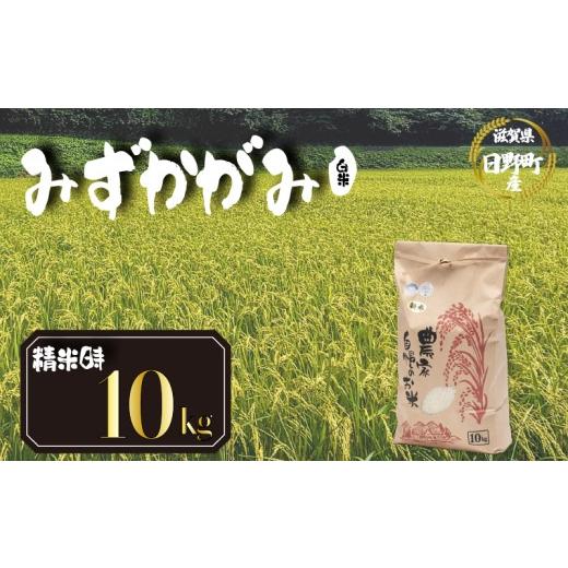ふるさと納税 米 滋賀県 日野町 令和8年産 米 10kg みずかがみ 米 白米 国産 滋賀県 日野町 農家直送 お米 おこめ こめ 産地直送 ふるさと納税 みずかがみ 白…