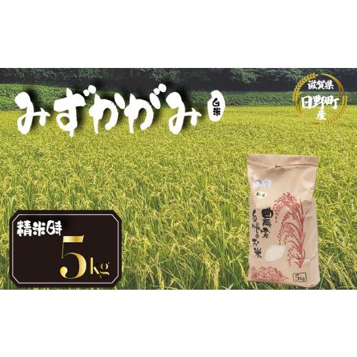ふるさと納税 米 滋賀県 日野町 令和8年産 米 5kg みずかがみ 米 白米 国産 滋賀県 日野町 農家直送 お米 おこめ こめ 産地直送 ふるさと納税 みずかがみ 白…