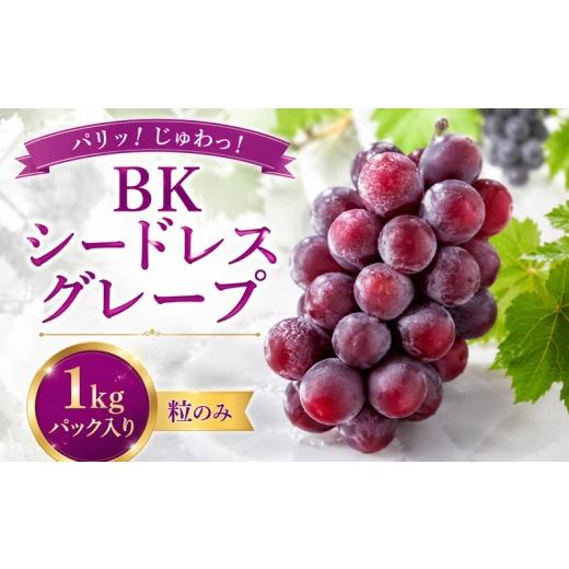 ふるさと納税 ぶどう マスカット 愛媛県 愛南町 先行予約:2026年8月下旬〜発送 BKシードレスグレープ 家庭用 粒バラ パック入り 1kg 国産 ぶどう グレープ …