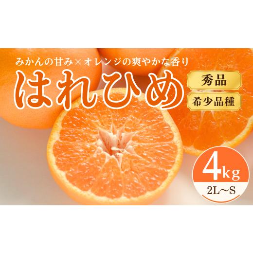 ふるさと納税 みかん・柑橘類 愛媛県 上島町 先行受付 はれひめ 4kg 秀品 2L〜S みかん 愛媛みかん 愛媛ミカン 愛媛県産 愛媛 柑橘 柑橘類 みかん ミカン 蜜…