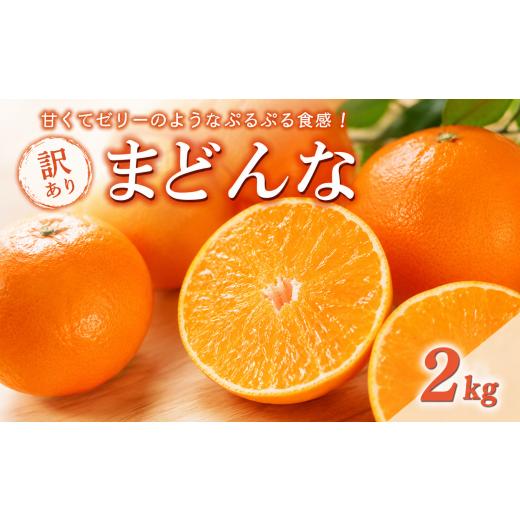 ふるさと納税 果物類 みかん 愛媛県 愛南町 数量限定 先行予約 訳あり まどんな 2kg 8000円 madonna 愛果28号 高級 人気 ブランド プレミアム 産地直送 農家直…