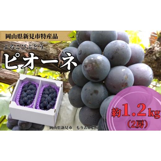 ふるさと納税 果物類 ぶどう 岡山県 新見市 もりおか農園のよろこびぶどう ピオーネ 約1.2kg 2房 先行予約 2026年9月上旬から順次発送 1.2kg(2房)