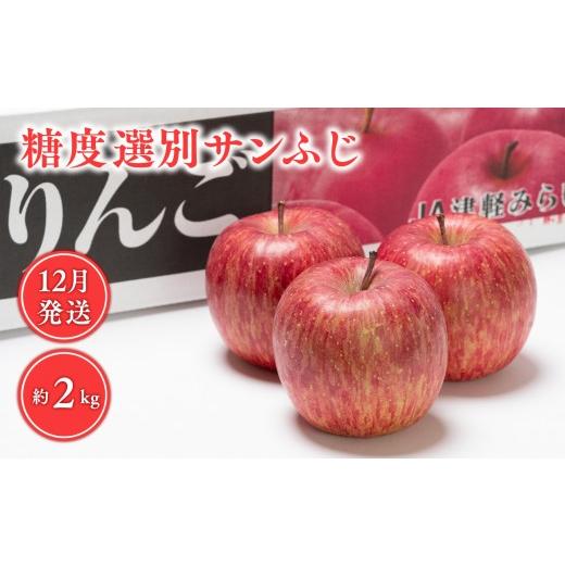 ふるさと納税 りんご 青森県 平川市 年内 糖度選別サンふじ 約2kg 青森県 平川市 JA津軽みらい 12月 青森 青森県産 平川 りんご リンゴ 林檎 くだもの 果物 ふ…