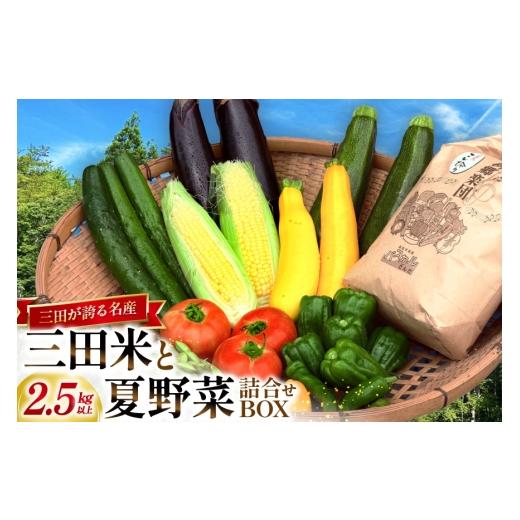 ふるさと納税 セット・詰合せ 兵庫県 三田市 三田米と旬の夏野菜詰め合わせBOX パスカルさんだ 兵庫県 三田市 3d28bae660051 三田米 米 新米 白米 今摺米 野菜…