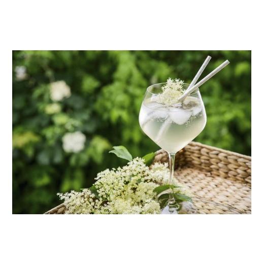 ふるさと納税 炭酸飲料 岡山県 勝央町 Kocomo's エルダーフラワーフィズ 炭酸飲料 200ml×6本 _S122 6本