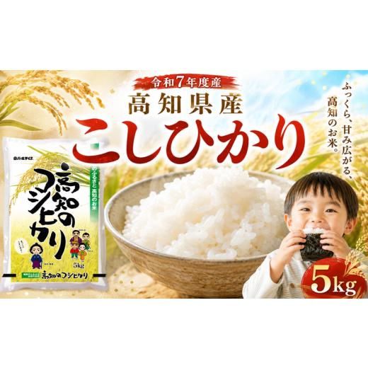 ふるさと納税 米 コシヒカリ 高知県 安芸市 14営業日以内発送可 令和7年産 こしひかり 5kg 米 お米 白米 5キロ 精米 おこめ コメ ライス コシヒカリ ブランド…